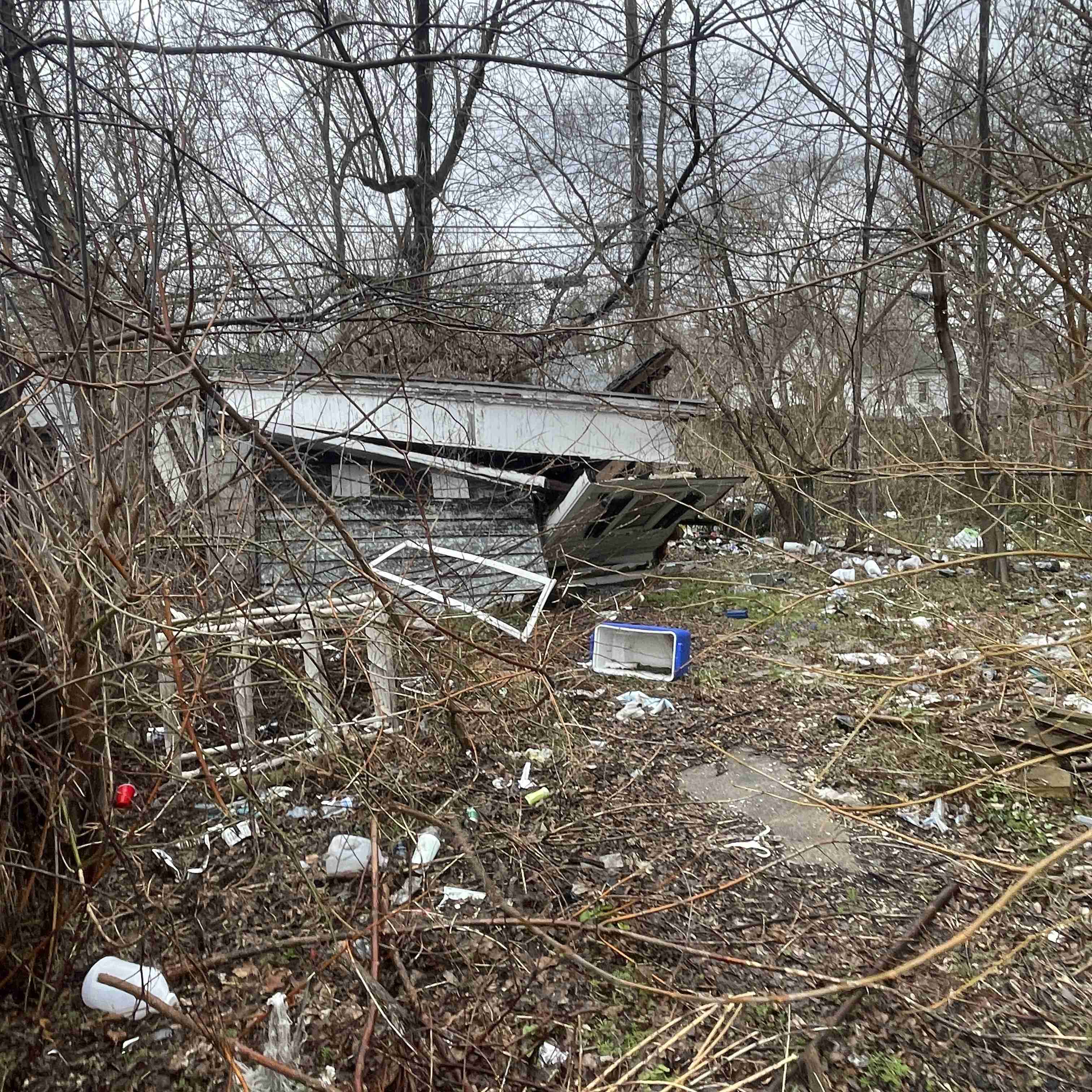 20015 Schoenherr (16).jpg